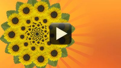 Hd Flowers Animated Background Free Download All Design Creative